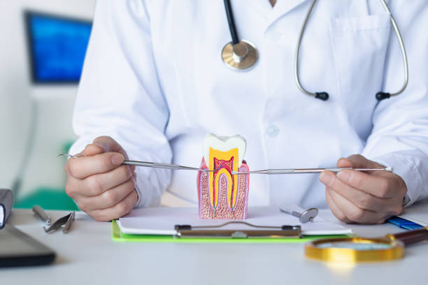 Best Emergency Root Canal Treatment in Smithfield, NC